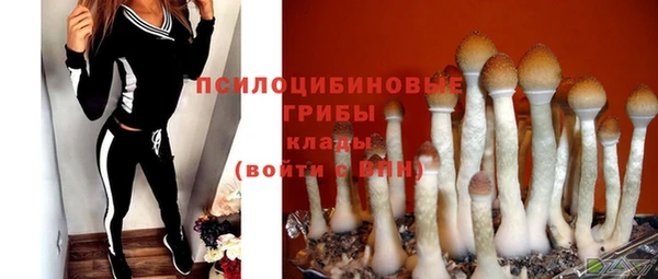 гашик Верея