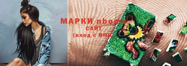 гашик Верея