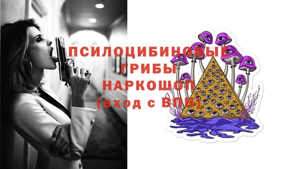 гашик Верея