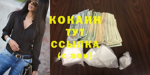 гашик Верея