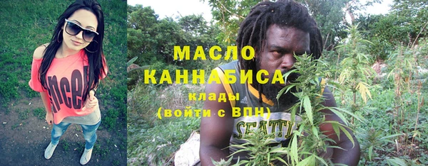 гашик Верея