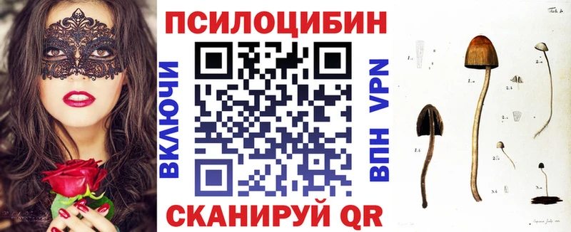 Псилоцибиновые грибы Cubensis Купить закладки Энгельс